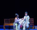 sickbed-The Purple Hairpin--jiangxi operaÃ¢â¬Åfour dreams of linchuanÃ¢â¬Â